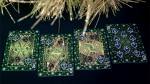 BICYCLE FIREFLIES PLAYING CARDS - Image 3