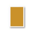 FORT NOC (GOLD) PLAYING CARDS - Image 2
