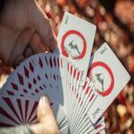 HINODE PLAYING CARDS - Image 3