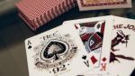 BEE PLAYING CARDS - RED - Image 4