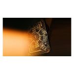 PIRACY PLAYING CARDS - Image 4