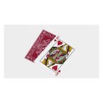 BLACK ROSES EDELROT PLAYING CARDS (FULLY MARKED) - Image 4