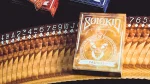 SOLOKID CONSTELLATION SERIES V2 (TAURUS) PLAYING CARDS - Image 3