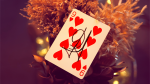MY POWER DECK - RED - Image 2