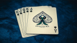 PEACOCKS PLAYING CARDS - Image 4
