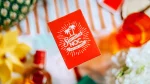SUMMER NOC PRO SUNSET (ORANGE) PLAYING CARDS - Image 4